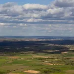 Anju-pardal