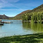 Anju-pardal * Mogadouro (Braganca)