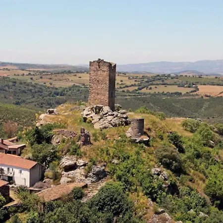 Anju-pardal Mogadouro