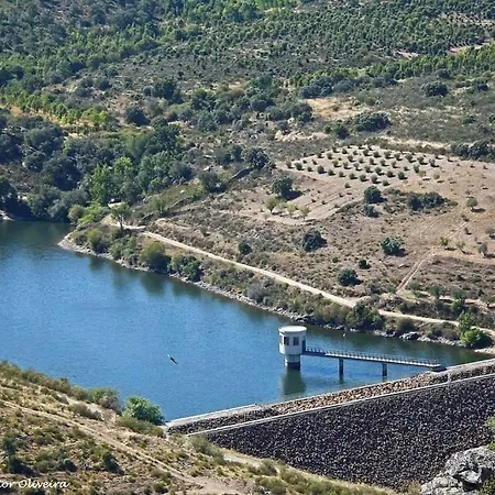 Anjú-pardal Mogadouro (Braganca)