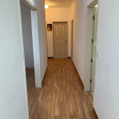 Anju-pardal * Mogadouro (Braganca)