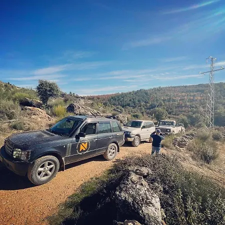 Anjú-pardal * Mogadouro (Braganca)