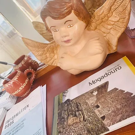 Anju-pardal Feriehus Mogadouro (Braganca)