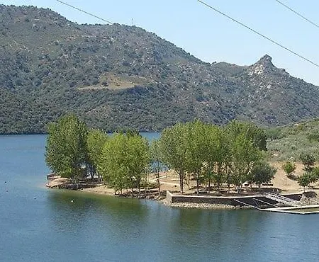 Anjú-pardal * Mogadouro (Braganca)