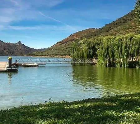 Anju-pardal * Mogadouro