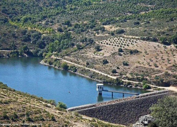 Anju-pardal Mogadouro (Braganca)