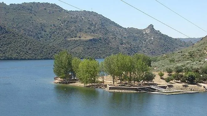 Anju-pardal * Mogadouro (Braganca)