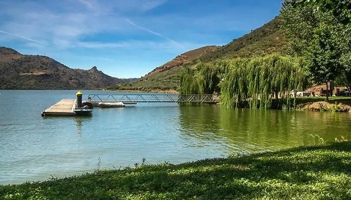 Anju-pardal * Mogadouro (Braganca)